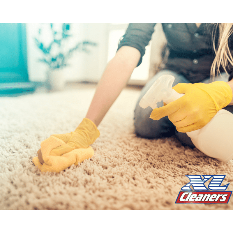 Water Damaged Carpets, know how and when to clean them | XL cleaners