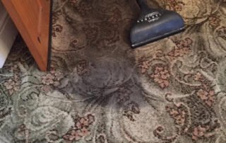 carpet cleaning services